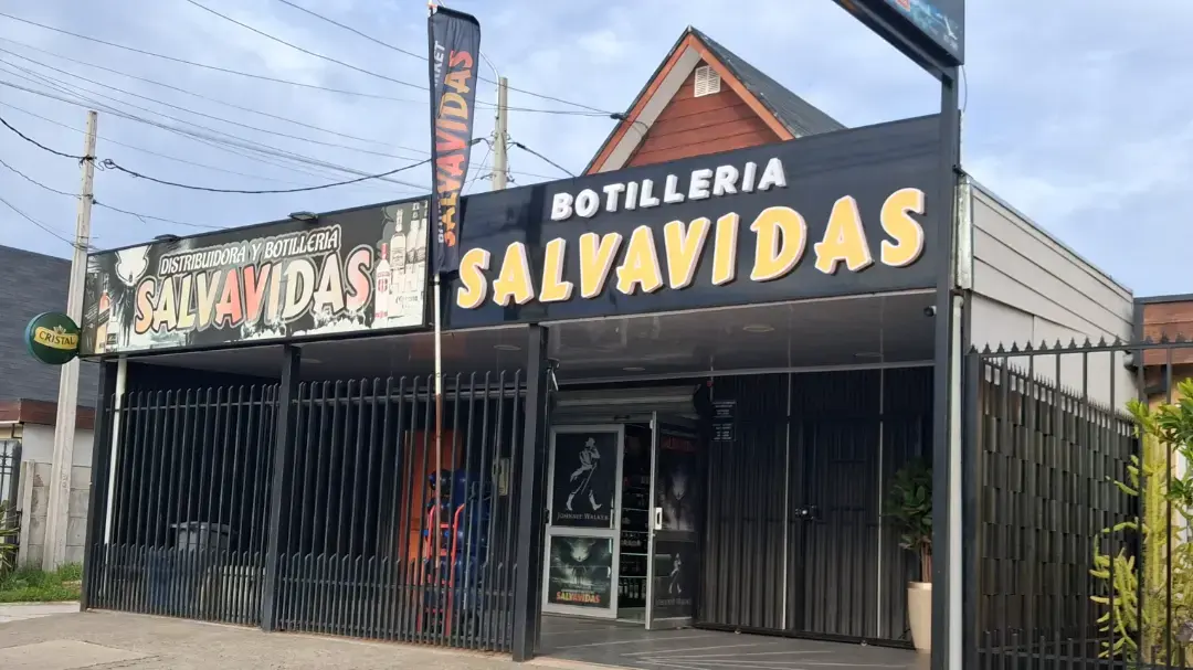 Portada de Botillería Salvavidas