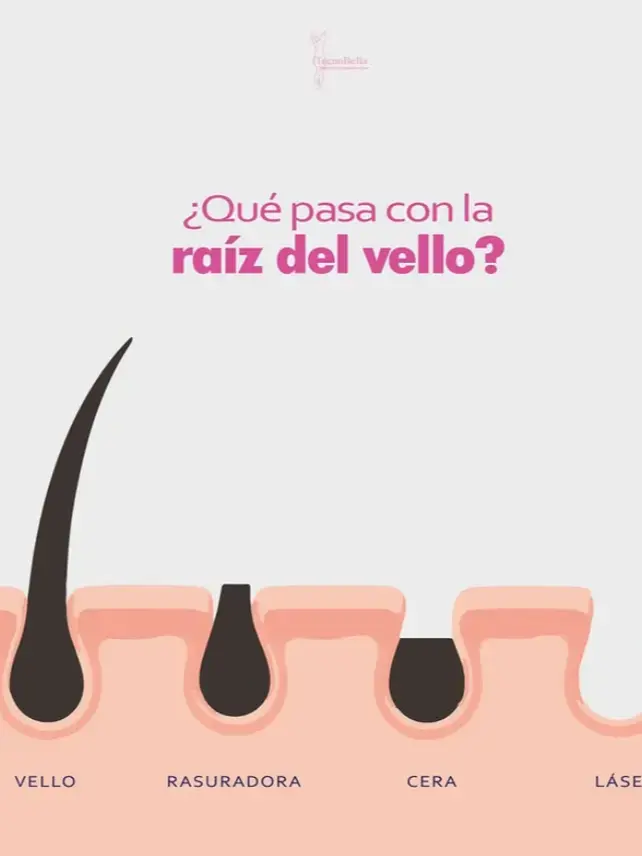 Tecnobella Talca