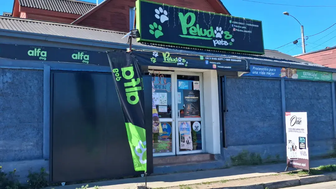 Portada de Peludos Pets